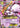M Mewtwo EX (64)
