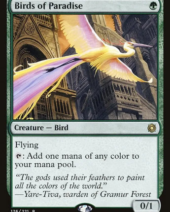 Birds of Paradise