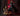 Star Wars Samurai Taisho Darth Vader Meisho Movie Realization 