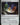 Prismatic Geoscope