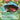 Venusaur EX