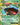 Venusaur EX