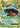 Venusaur EX