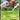Beedrill EX - XY157