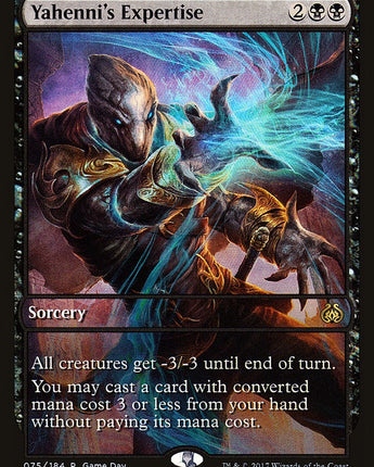 Yahenni's Expertise