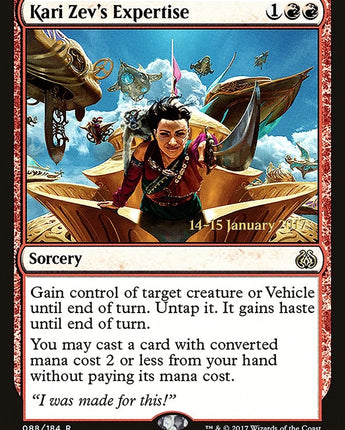 Kari Zev's Expertise
