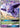 Espeon GX