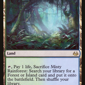 Misty Rainforest