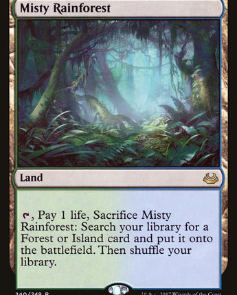 Misty Rainforest