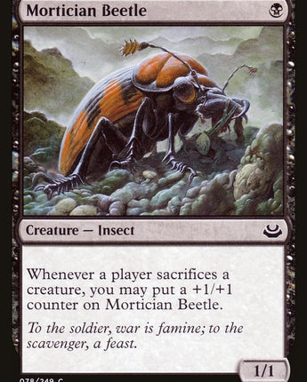 Mortician Beetle