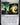 Simic Signet