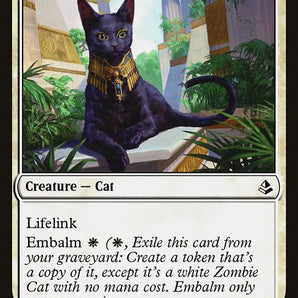 Sacred Cat