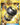 Enhanced Hammer (Secret)