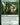 Pathbreaker Ibex