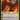 Nicol Bolas, Planeswalker