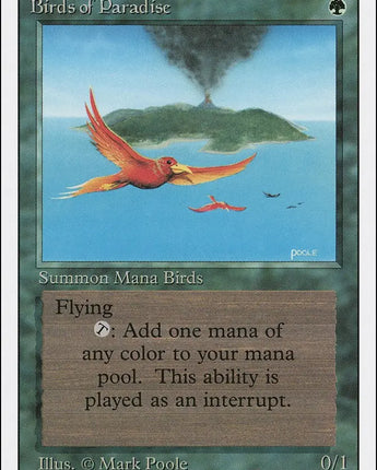 Birds of Paradise