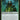 Boreal Druid