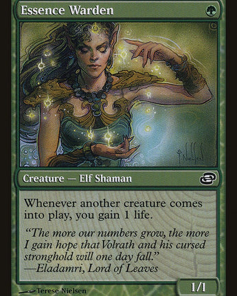 Essence Warden