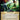 Journey to Eternity (Back)