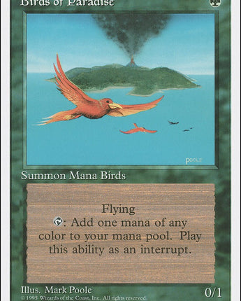 Birds of Paradise