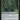Gilt-Leaf Archdruid