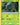 Bulbasaur - SM198 (In-Store Event Promo)