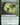 Shared Summons