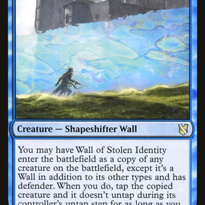 Wall of Stolen Identity