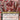 Grist, Voracious Larva (Borderless) (Back)