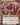 Grist, Voracious Larva (Borderless) (Back)
