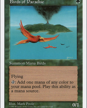 Birds of Paradise
