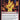 Burning Inquiry
