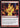 Burning Inquiry