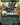 Doubling Season (Borderless)