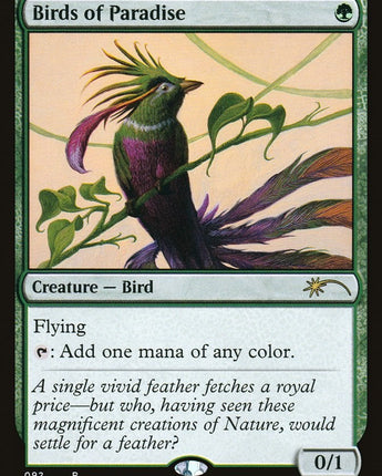 Birds of Paradise (92)