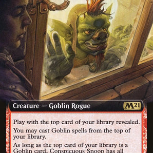 Conspicuous Snoop (Extended Art)