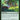 Branching Evolution