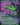 Scavenging Ooze