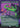 Scavenging Ooze