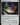 Prismatic Geoscope