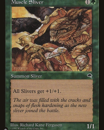 Muscle Sliver