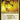 Nicol Bolas