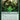 Elvish Archdruid