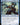 Sakashima of a Thousand Faces
