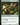 Canopy Tactician