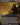 Haunting Voyage (Borderless)