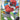 Ball Guy (Full Art)