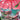 Venusaur VMAX - SWSH102