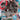 Blastoise VMAX - SWSH103