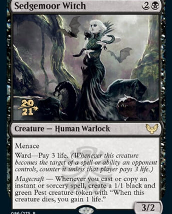 Sedgemoor Witch